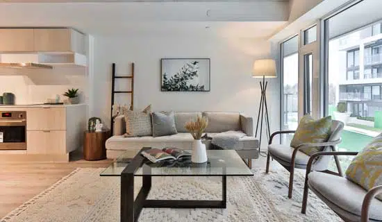 Other Cleaning Services Offered by Our Carpet Cleaner